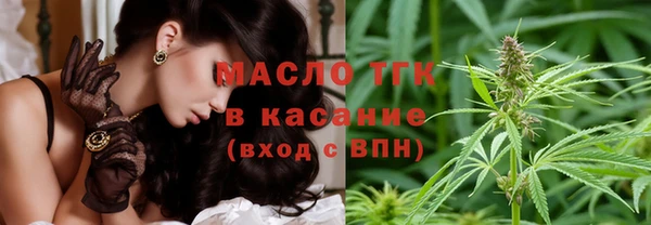 индика Нязепетровск