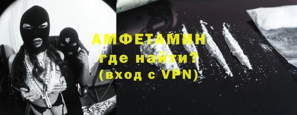 индика Аша
