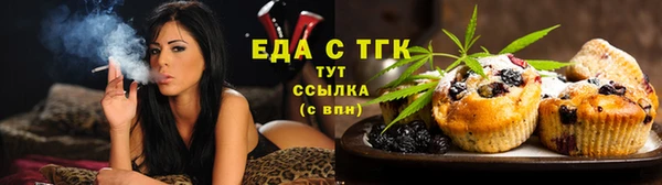 индика Нязепетровск