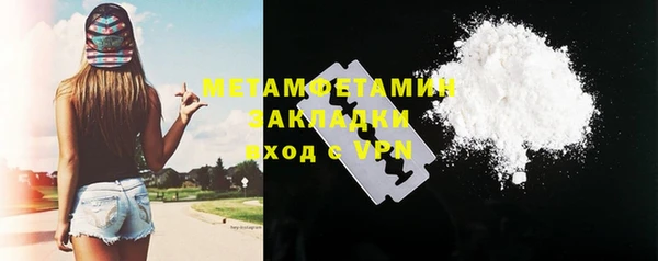 трава Няндома