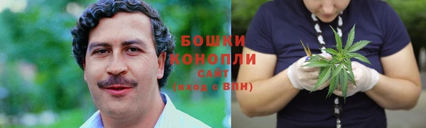 индика Нязепетровск