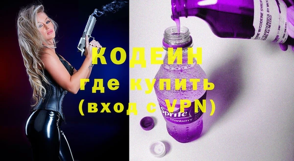 индика Нязепетровск