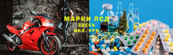 индика Нязепетровск