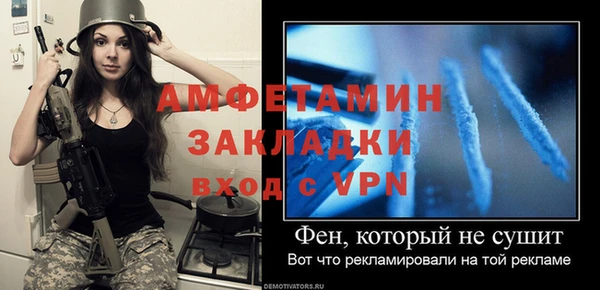 трава Няндома