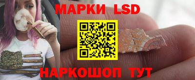 индика Бийск
