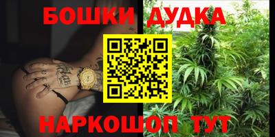 индика Бийск