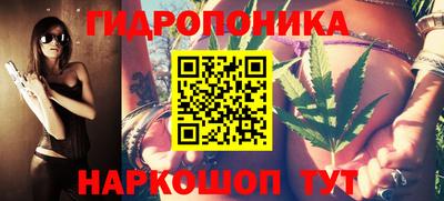 индика Бийск