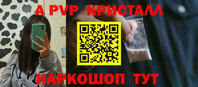 индика Бийск