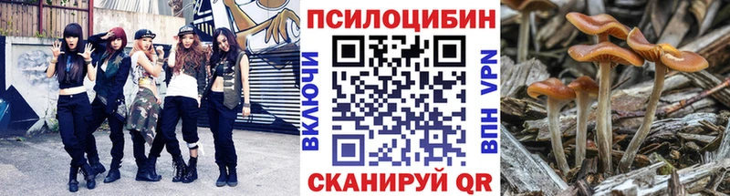 дарнет шоп  Выборг  гидра ссылка  Псилоцибиновые грибы Psilocybine cubensis 