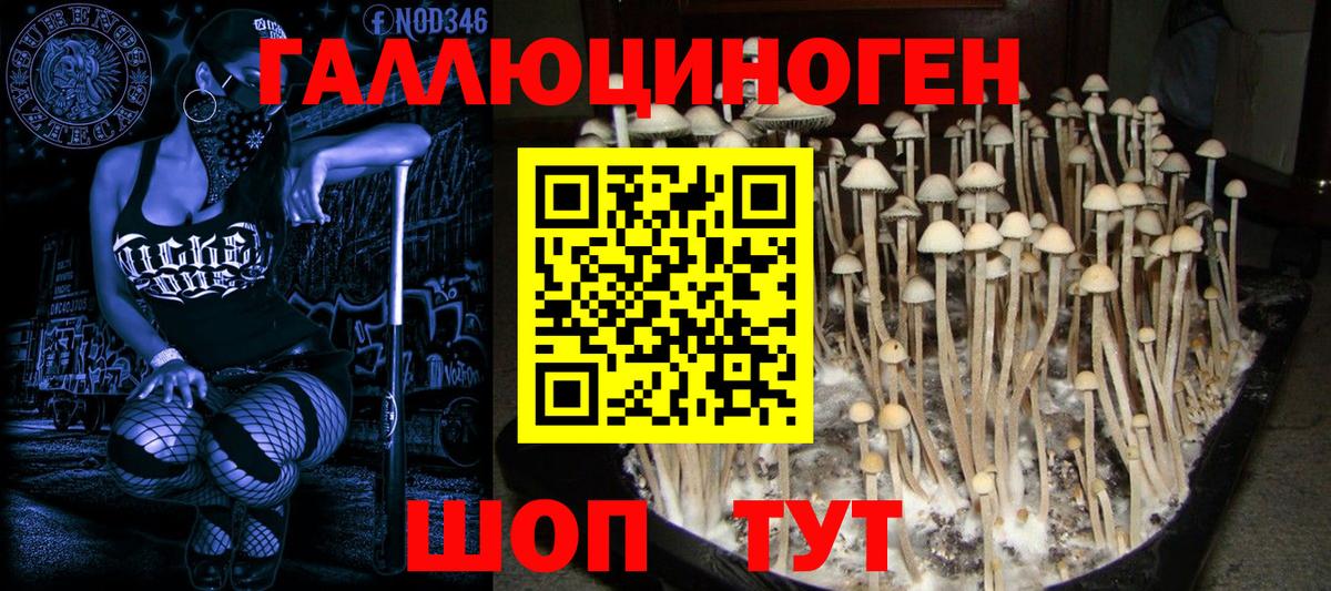 Псилоцибиновые грибы Magic Shrooms  Галлюциногенные грибы GOLDEN TEACHER  Выборг 