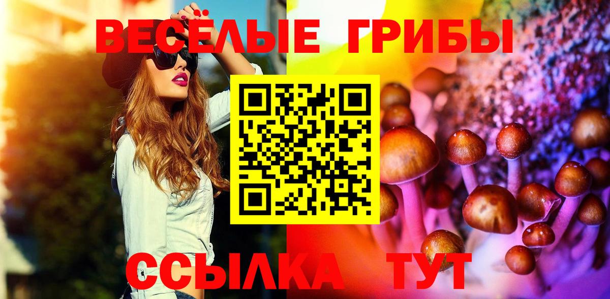 купить  цена  Псилоцибиновые грибы Psilocybine cubensis  Вход с VPN  Выборг 